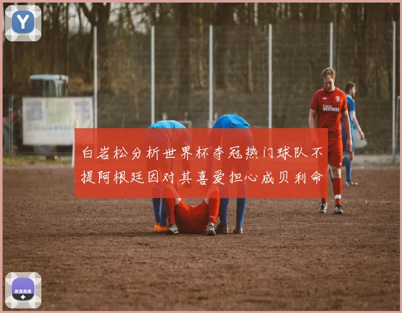 白岩松分析世界杯夺冠热门球队不提阿根廷因对其喜爱担心成贝利命运